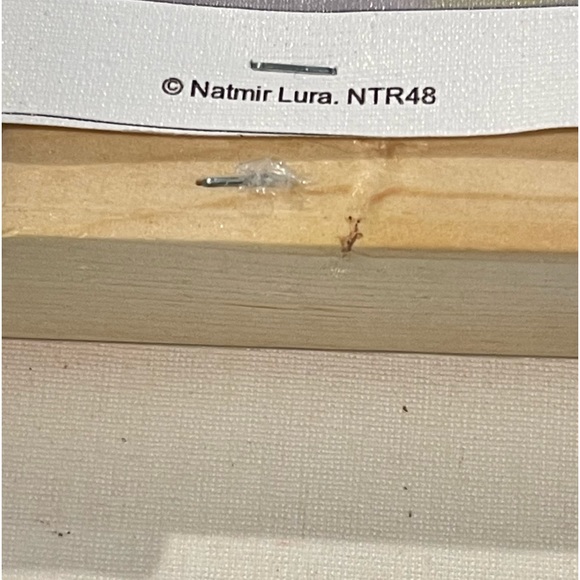 💕iCANVAS💕 Art By Natmir Lura -Beautiful canvas! W 12” W x 18” H - Picture 6 of 6